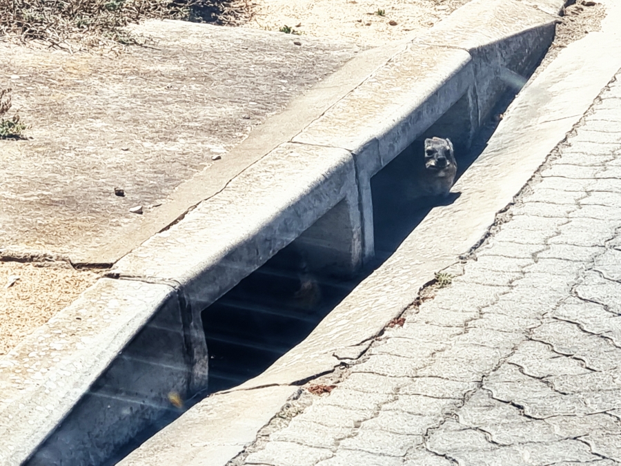 0 Bedroom Property for Sale in Hoogland Western Cape